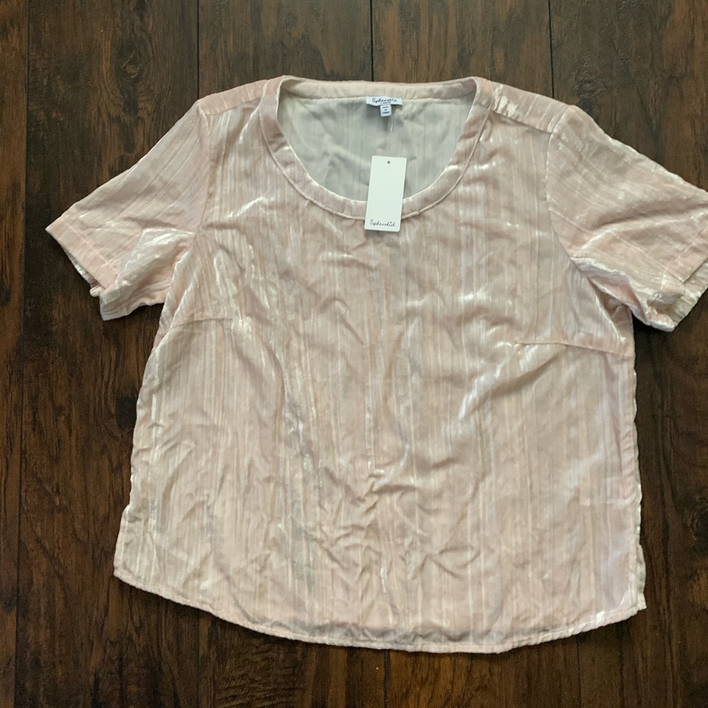 Splendid   Pink Beige Velvet top. Size L